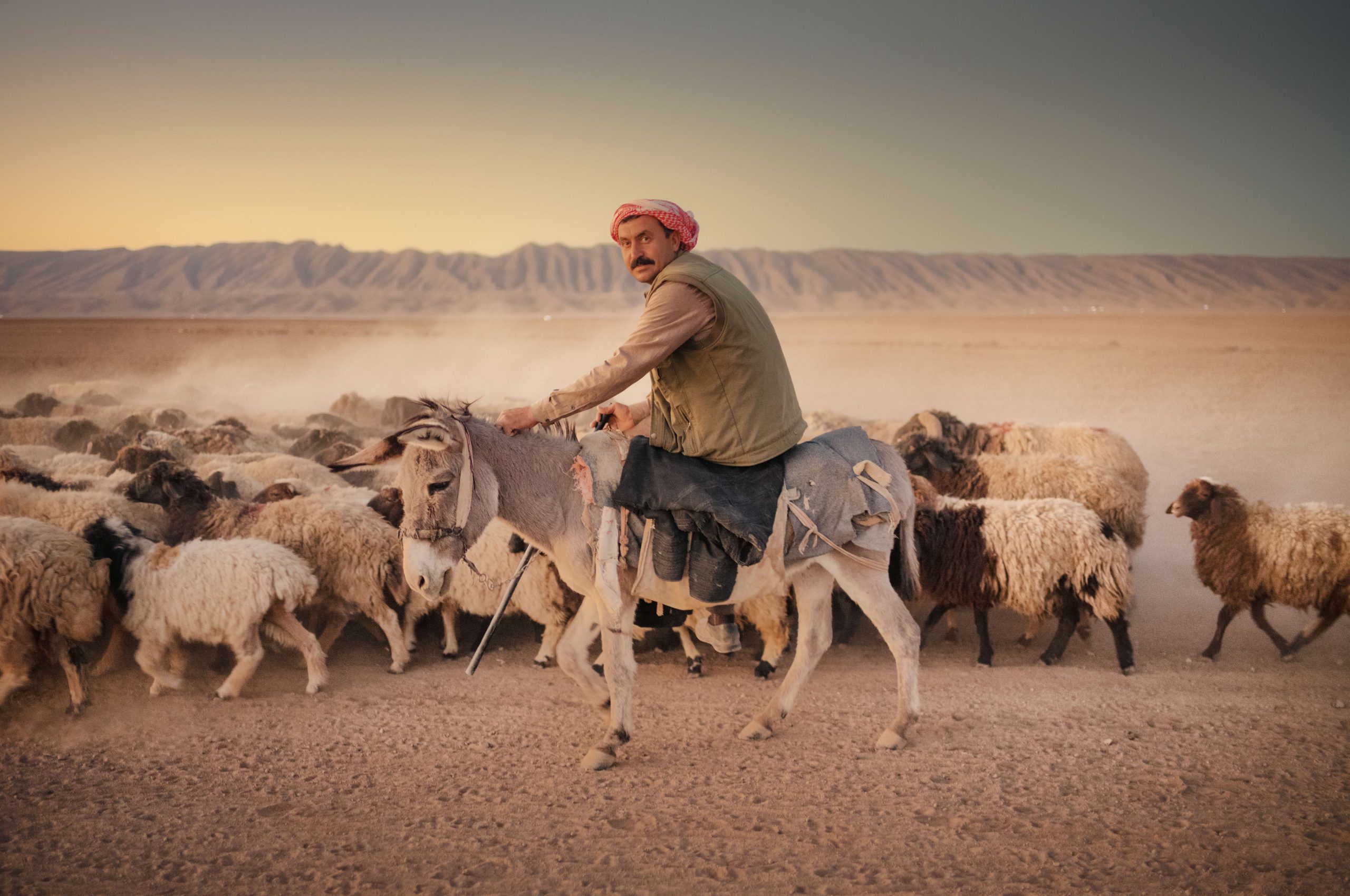 A Closer Way of Seeing The Yazidis